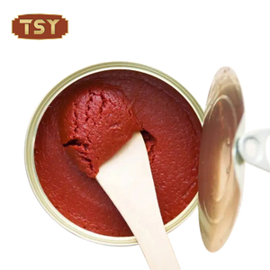 Friszure dubbelgeconcentreerde tomatenpuree